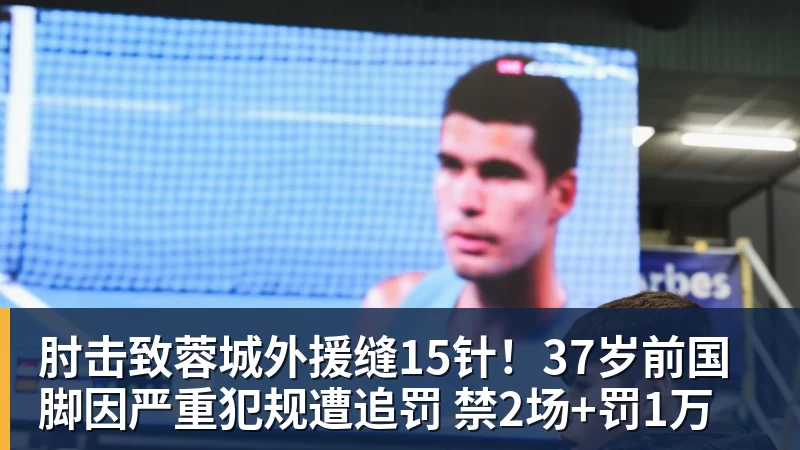 九游体育肘击致蓉城外援缝15针！37岁前国脚因严重犯规遭追罚 禁2场+罚1万